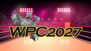 WPC2029 Login and Register Live to the Dashboard Process 2022